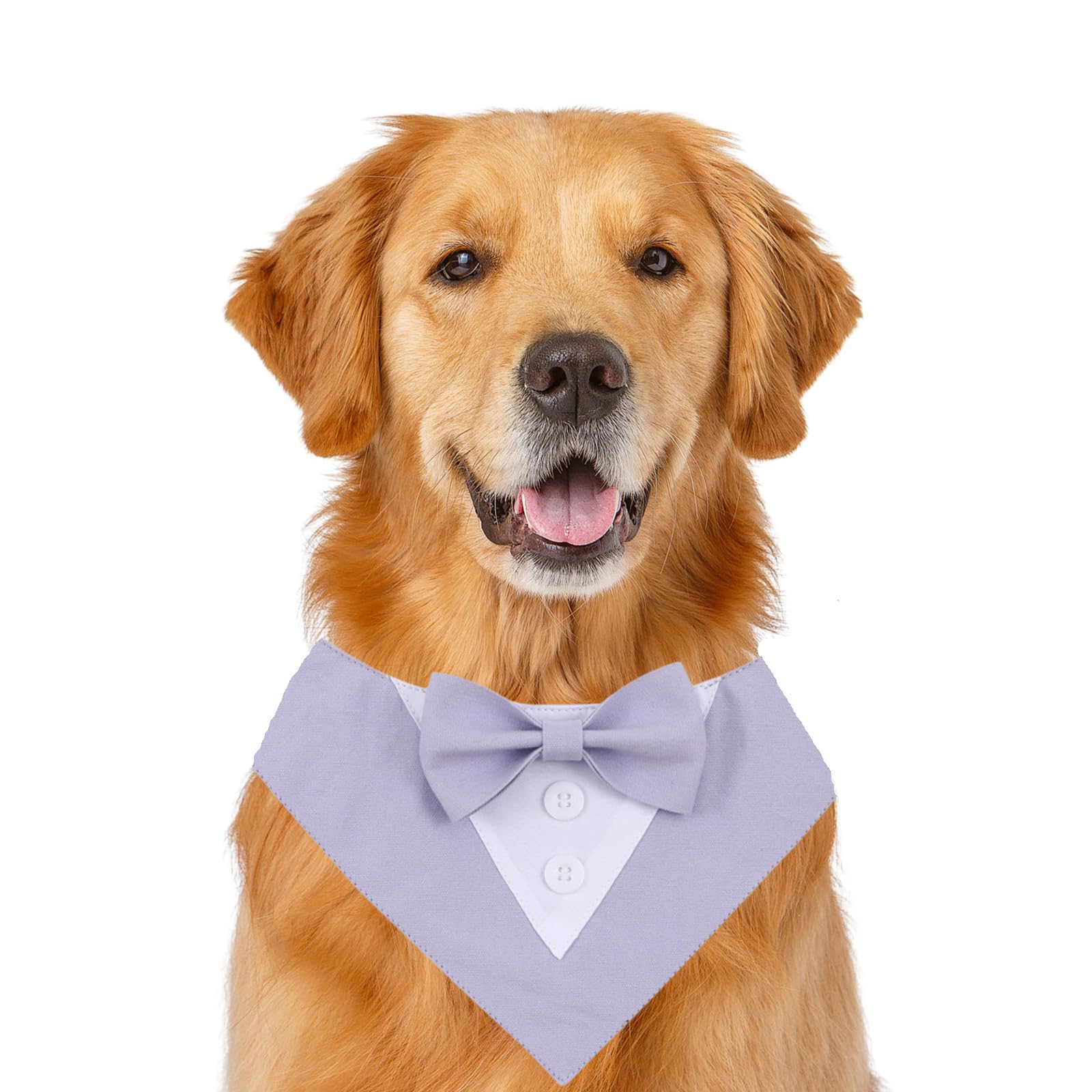 Dog Wedding Bandana,Formal Pet Tuxedo Bow Tie Triangular Scarf Adjustable Dog Birthday Party Bib Valentines Bowtie Scarf_S(Purple)