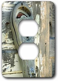 3dRose Lsp_89014_6 Antique Parking Meter, Palm Beach, Florida - Us10 Aje0226 - Adam Jones 2 Plug Outlet Cover
