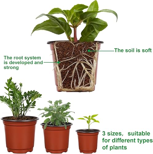 Vista 3 de Augshy 120 macetas de plástico para vivero, macetas de inicio de semillas para interiores y exteriores (4,5,6 pulgadas)