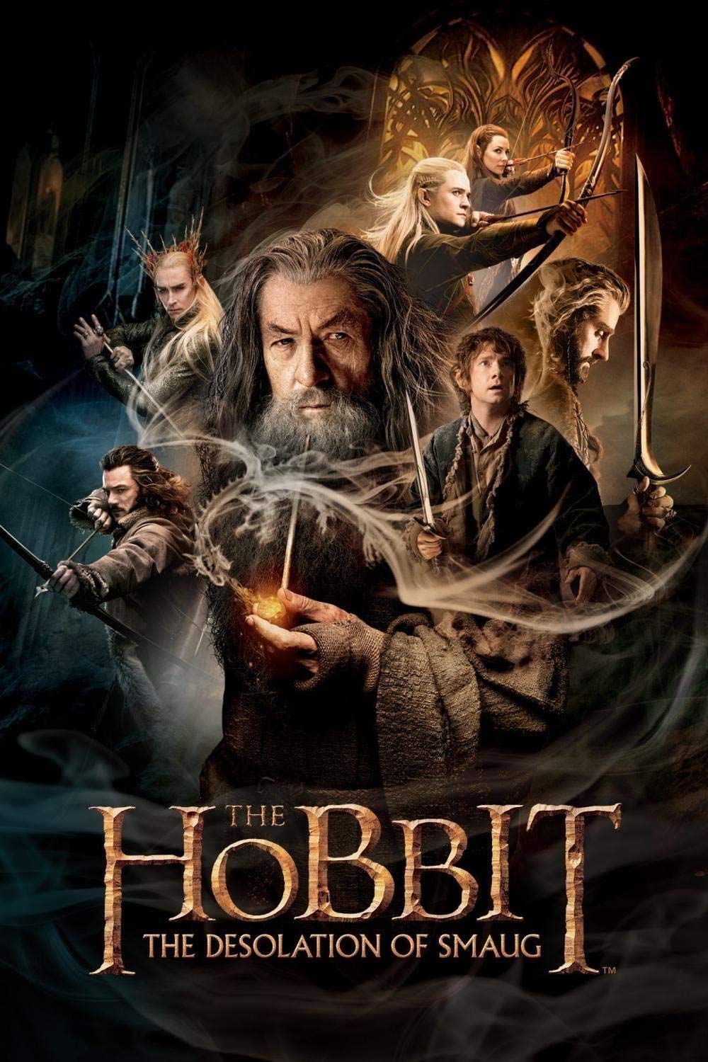 ERUZO 5D Diamond Painting Set for Adults, DIY Diamond Painting Art Children's Gift The Hobbit Home Decor Gift40x50cm