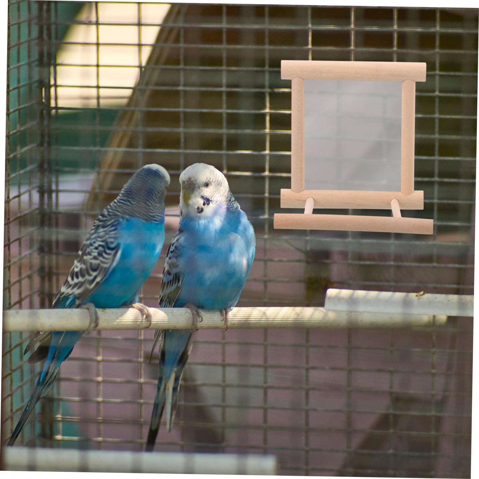 Yardwe Papageien Sitzstange Mit Spiegel Holzständer Für Wellensittiche Nymphensittiche Und Conures Kralle Kauspielzeug Für Vogelkäfig Interaktives Spielzeug Neugier Für Abenteuer Und
