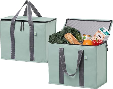 VENO 2 Pack Cooler Bag and Insulated Grocery Bags for Food Delivery, Collapsible Cooler. Reusable Shopping Bags for Groceries with Hard Bottom, Zippered, Foldable, Heavy-Duty Light Green, 2 Pack