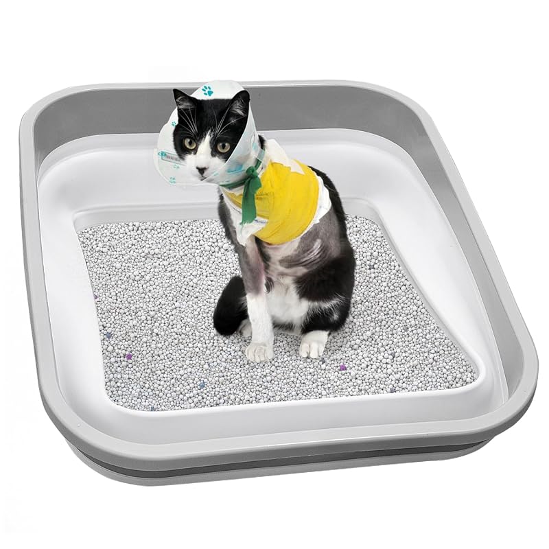 Caixa de Areia para Gatos Dobrável de Plástico com Entrada Baixa maohegou, Grande