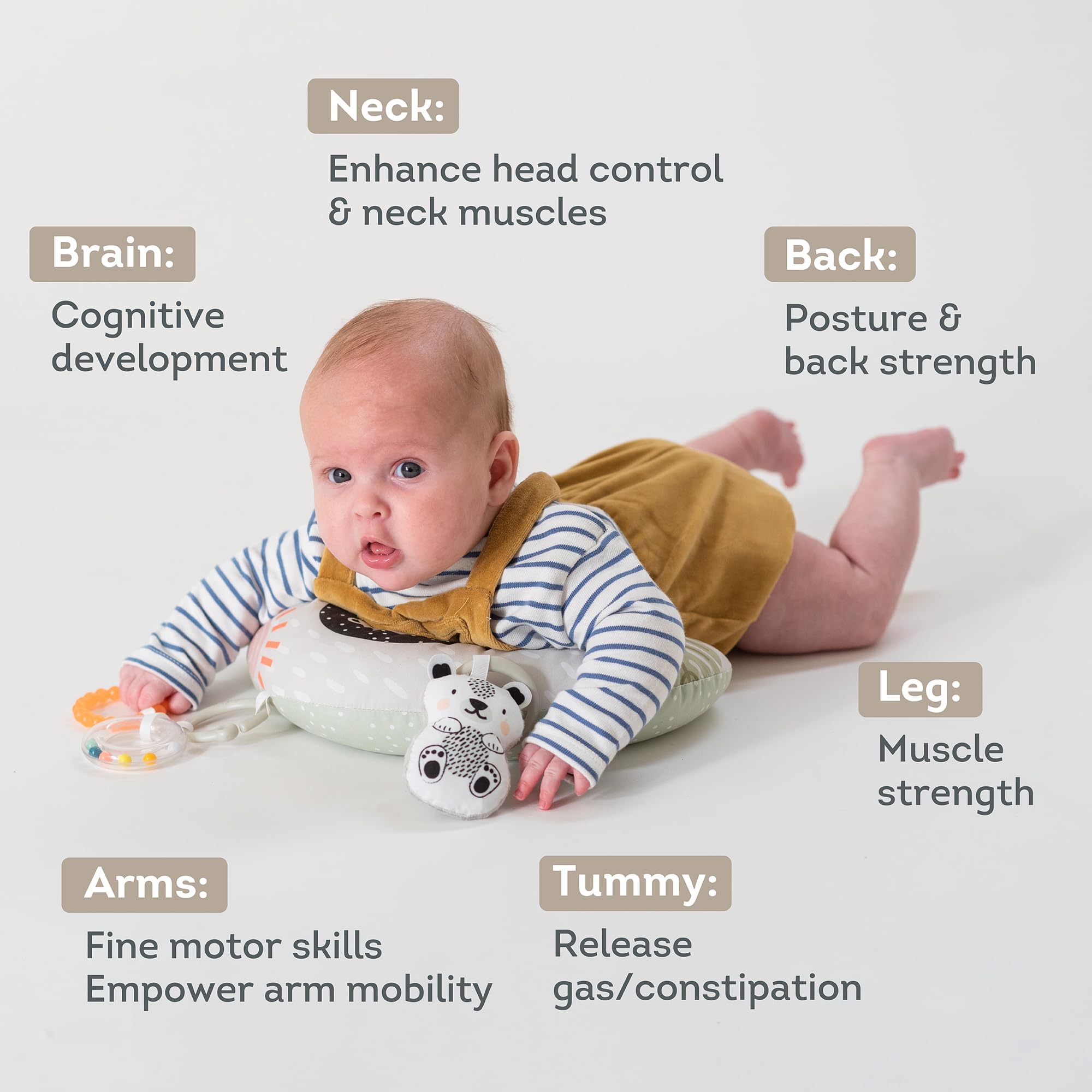 Baby Lounger Pillow Infantino 2-in-1 Tummy Time Seated Support