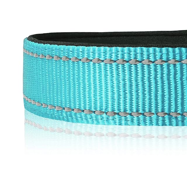 Foto 4 de 7 de HEELE Collar Perro, Collar Nylon Reflectante Neopreno Forrado Ajustable para Perro Grande, Azul, L