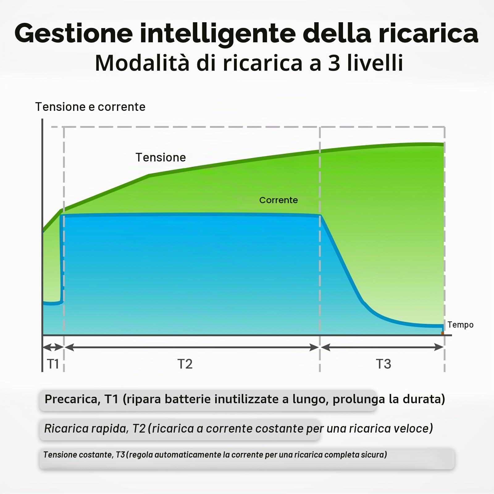 Dyness Caricabatterie LiFePO4 12V 20A (14,6V), Ricarica Intelligente a 3 Fasi con Attivazione 0V, Connettore Anderson 50A, Terminali M8 e Indicatore LED per Batterie LiFePO4 da 12,8V