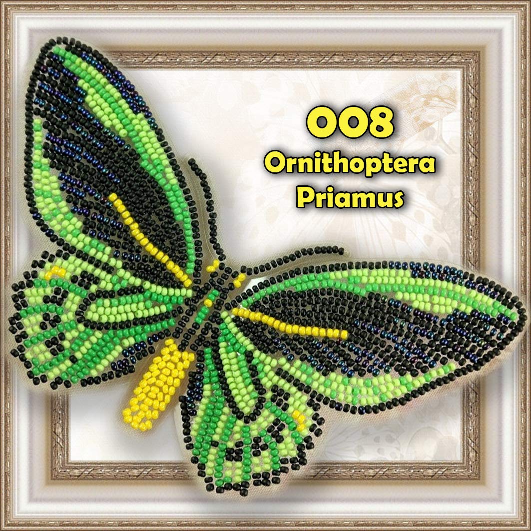 Embroidery Butterfly Stitches Free Embroidery Patterns