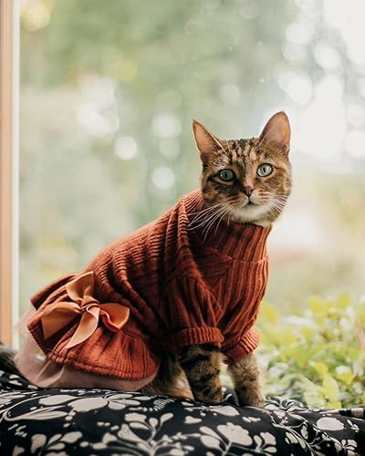Miniatura 3 de Vestido de punto de tul para perro, ropa de invierno para perros pequeños y niñas, ropa de gato, naranja, talla M