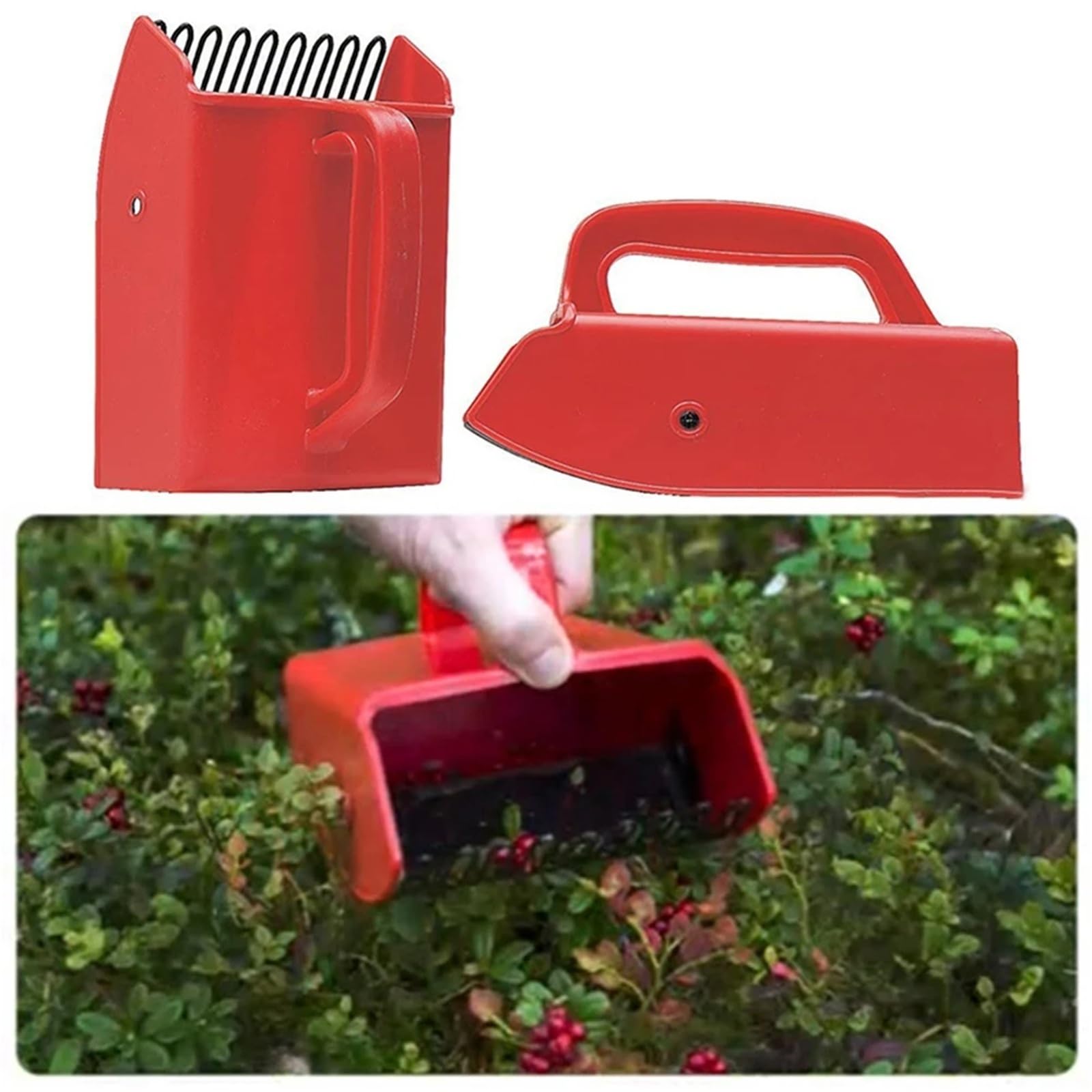 Beerenpflücker mit Metallkamm, tragbare Rechenschaufel for Blaubeeren und Himbeeren(Red)