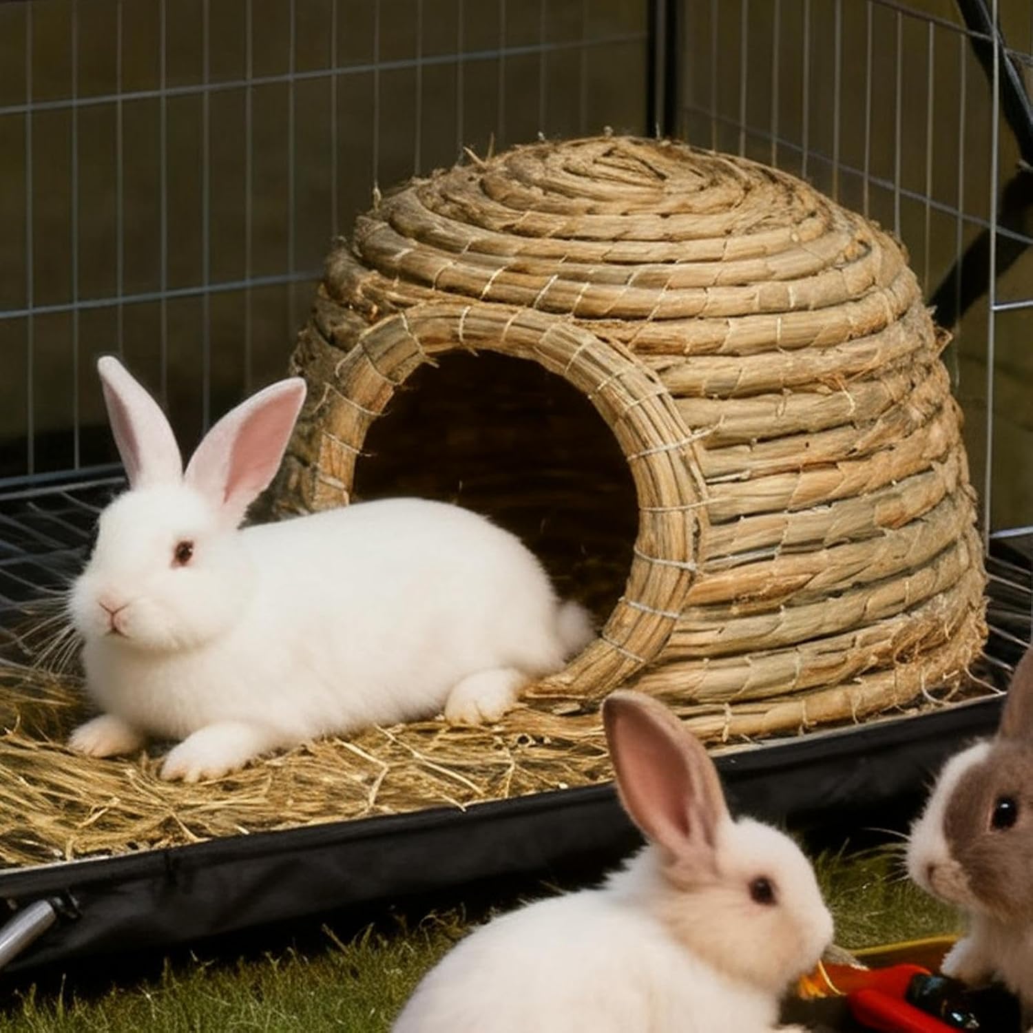 Bunny House, Breathable Hand-Woven Cage Habitat, Bunny Hideaway Shelter, for Pets, Hamster, Chicken, Cats, Rabbits, Outdoor, Small Animal, Home