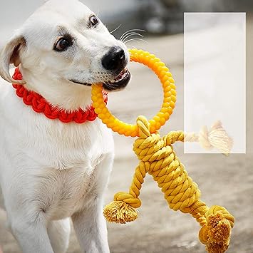 Amazon 実りの秋 犬おもちゃ 噛む ロープ 小 中 大型犬に適用 トレーニング 知育玩具 歯磨き 清潔 運動不足 ストレス解消 耐久性 安全無毒 イエロー 実りの秋 噛むおもちゃ 通販