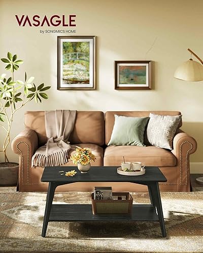 Miniatura 2 de VASAGLE MAEZO Collection - Mesa auxiliar, mesa central de 2 niveles con almacenamiento, patas cónicas, transiciones curvas, 21.7 x 39.4 x 17.7