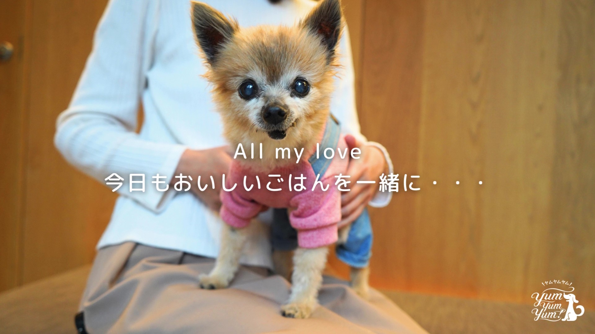 Amazon.co.jp: yum yum yum! ヤムヤムヤム 超小粒 ドッグフード ドライ