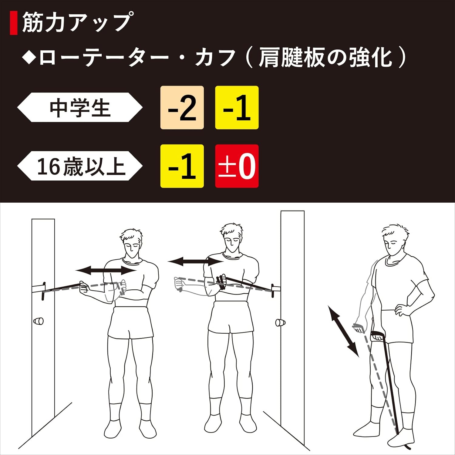 セラバンド トレーニングバンド トレーニングチューブ 1m マニュアル付 初心者 レジスタンスバンド フィットネスチューブ ストレッチバンド 筋トレ D&M ディーアンドエム Theraband 国内正規代理店 切って使える