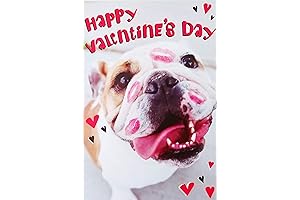 Bulldog Valentine's Day Card: The Smooch Pooch is Here to Steal Your Heart