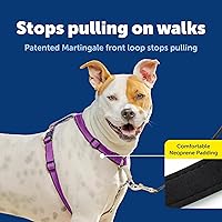 Vista 3 de Arnés PetSafe 3 en 1, de los fabricantes del arnés Easy Walk, M