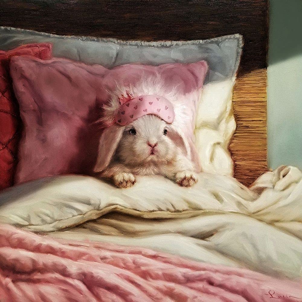 Bed Hare by Lucia Heffernan - 12x12 Art Print Poster