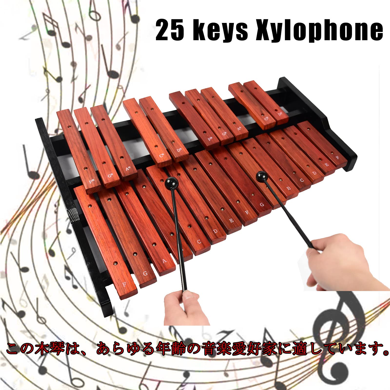 Amazon | Enhong 25音 木琴 卓上木琴 パーカッション 2本マレット付き