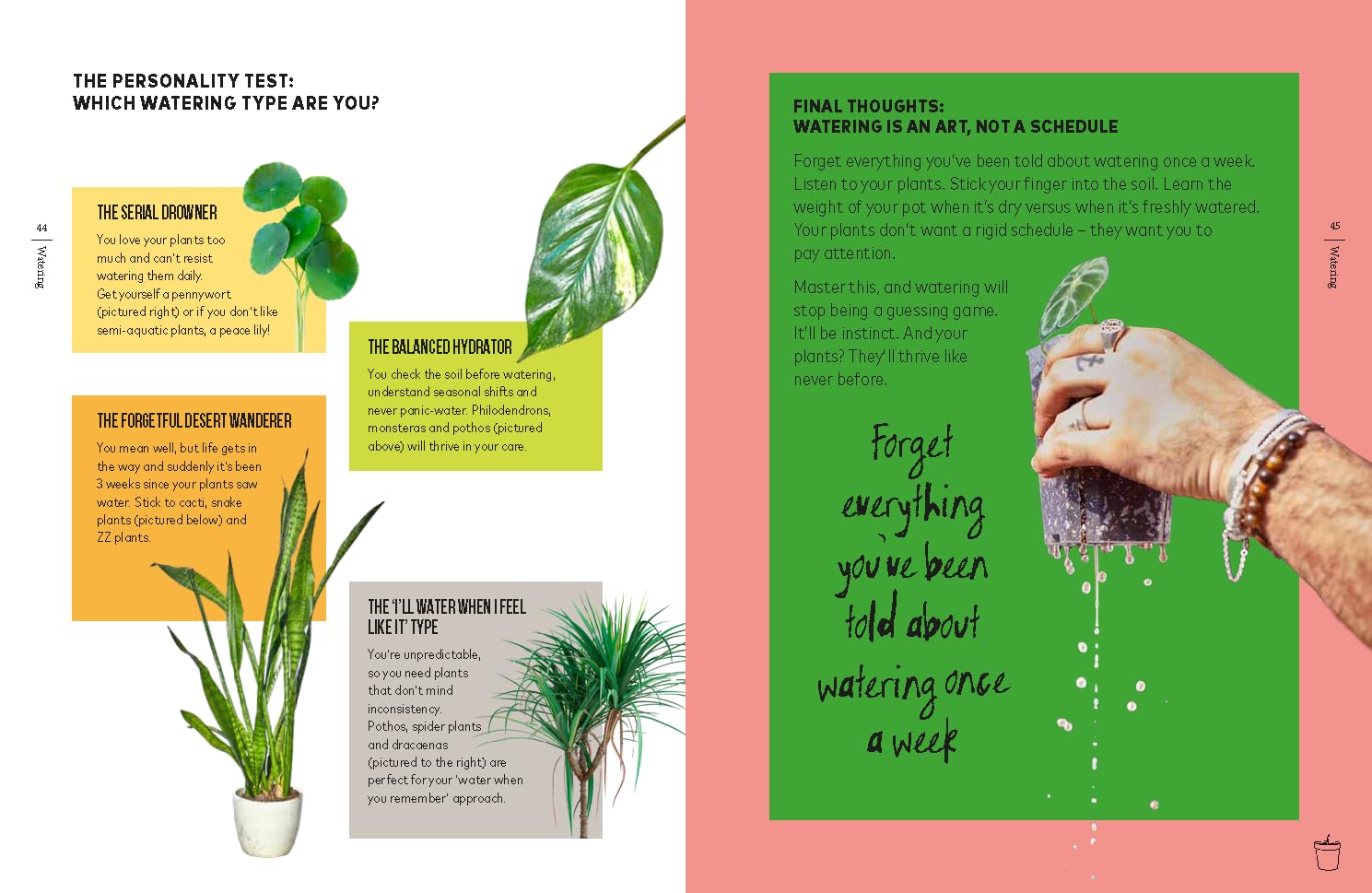 You're Overwatering It!: A Plant Guru’s Guide to Houseplants
