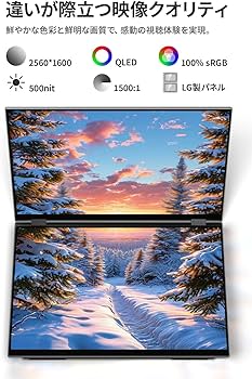 Amazon.co.jp: EHOMEWEI デュアルモニター 16インチ QLED 2.5K