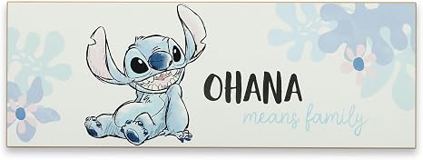 Amazon.com: Open Road Brands Disney Lilo and Stitch Ohana Means Family ...