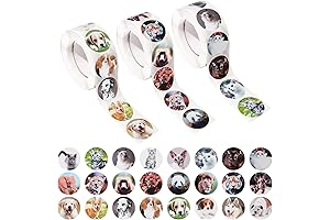 BENBO Zoo Animal Stickers