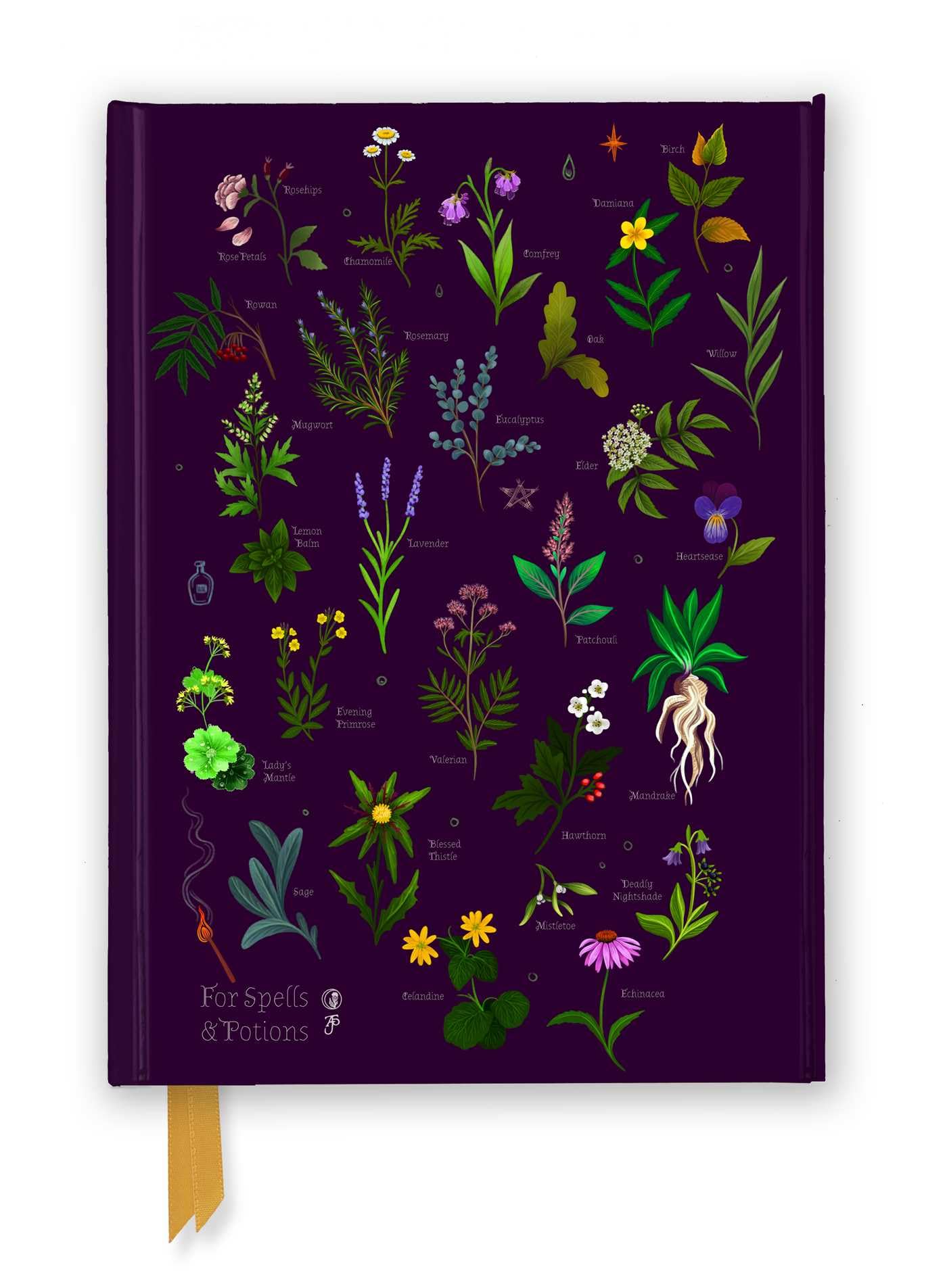 Anna Stead For Spells  Potions Foiled Journal 9781835626795