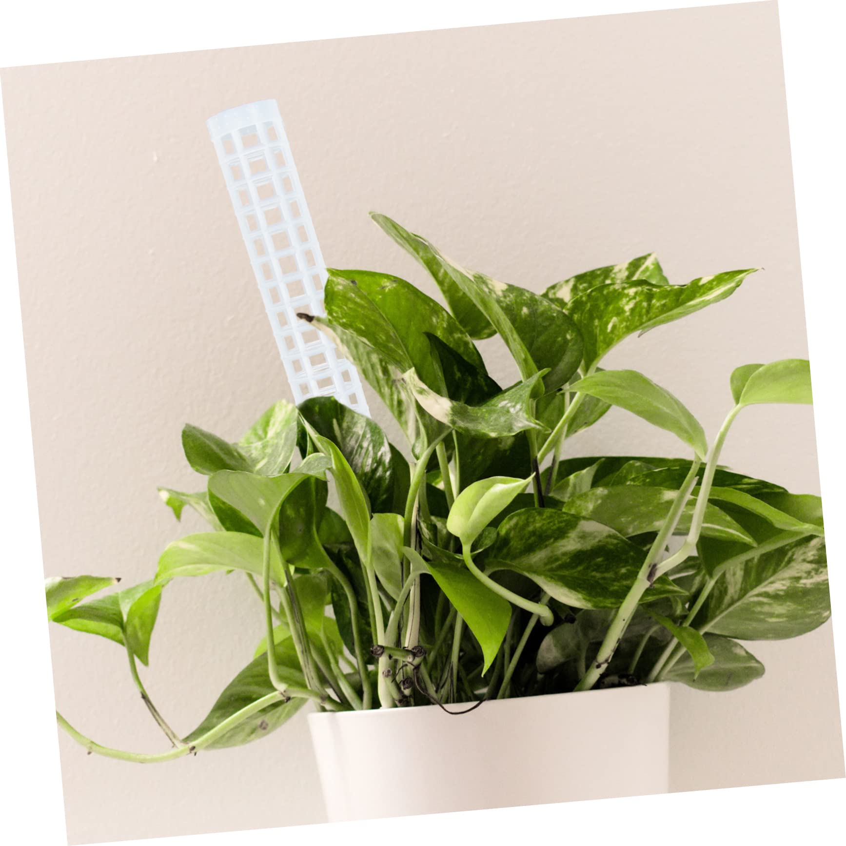 Kisangel 4 Ensembles Colonne De Sphaigne Mousse De Sphaigne pour Les Plantes Grand Poteau De Mousse Jardinage Outillage Treillis Jardin Colonne De Mousse d'eau Support De Fleur 4 Pièces * 4