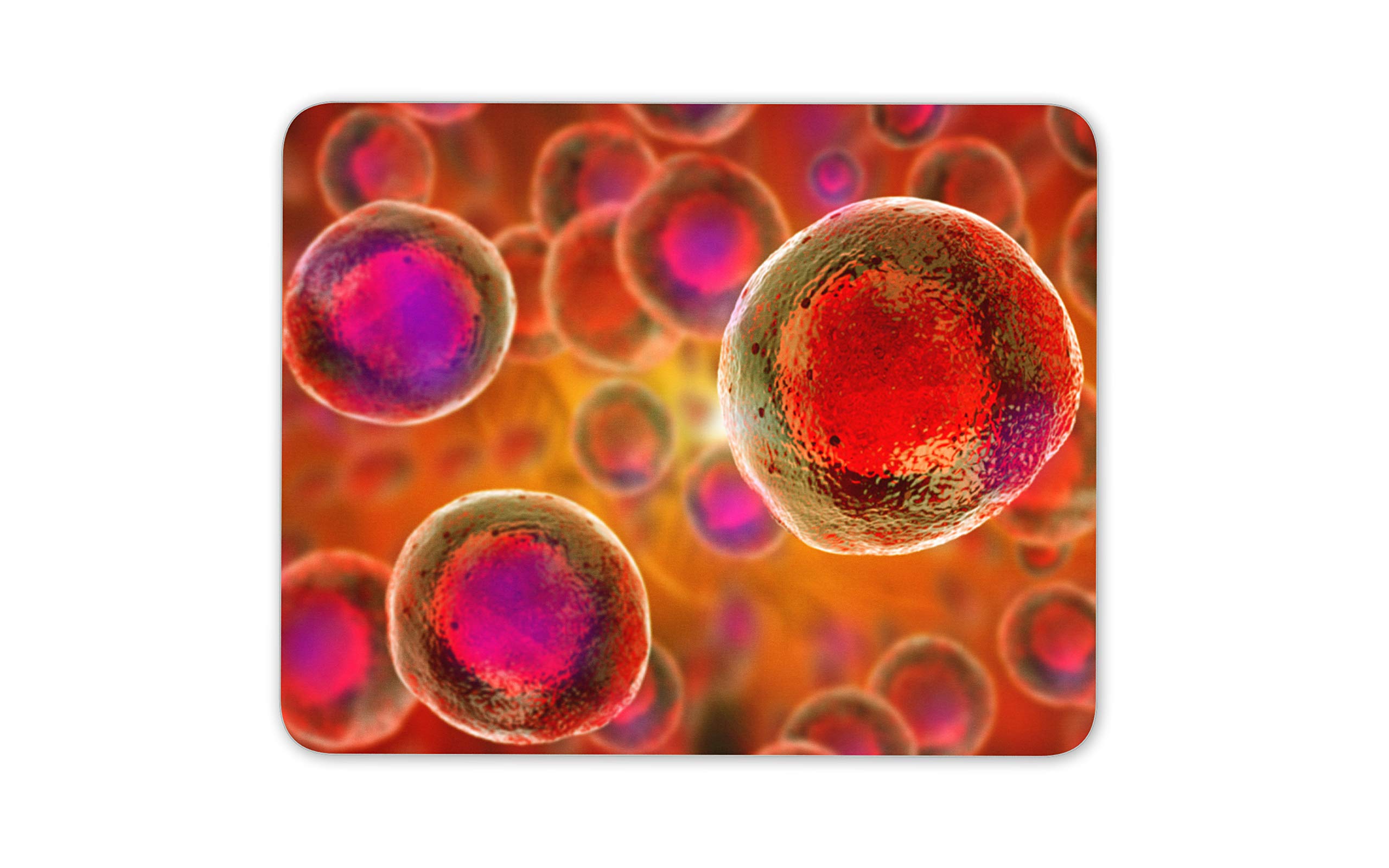 Embryonic Stem Cells Mouse Mat Pad - Natural Wonder Biology Computer #16852