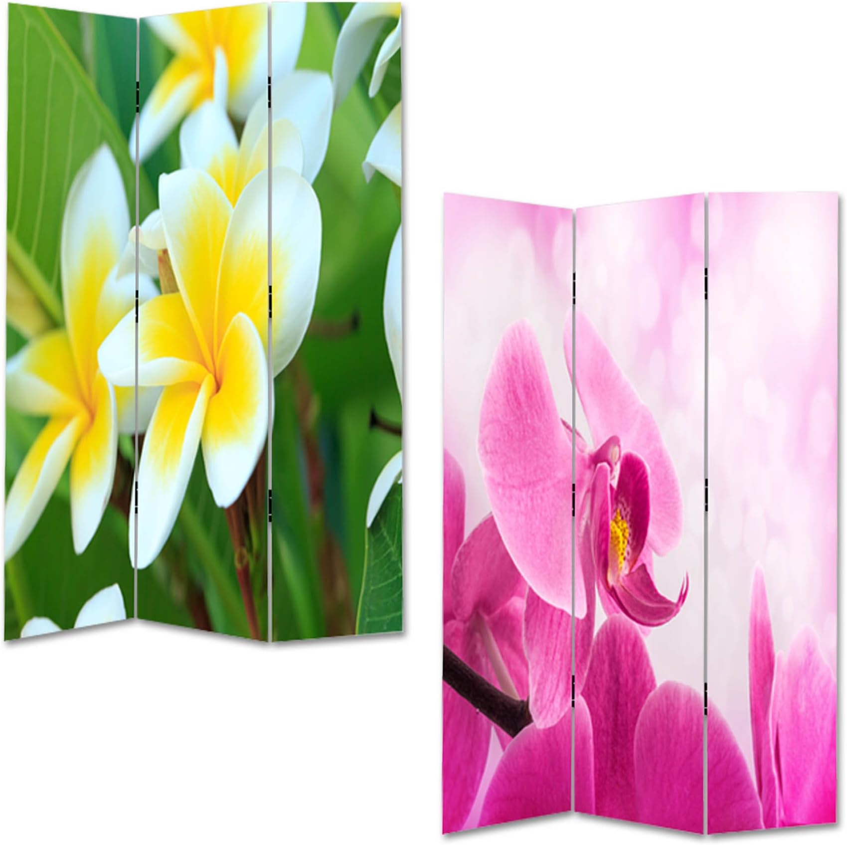 Lillyvale Room Divider/Canvas Screen/Folding Screen/Privacy - NEW floral 2