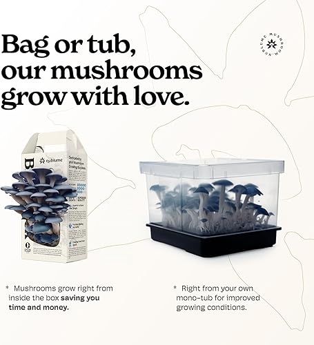 Miniatura 8 de NuBlume - Kit de cultivo de hongos orgánicos para interiores de ostras  Cosecha hongos gourmet frescos en casa en 7 días  Kits de cultivo de hongos,
