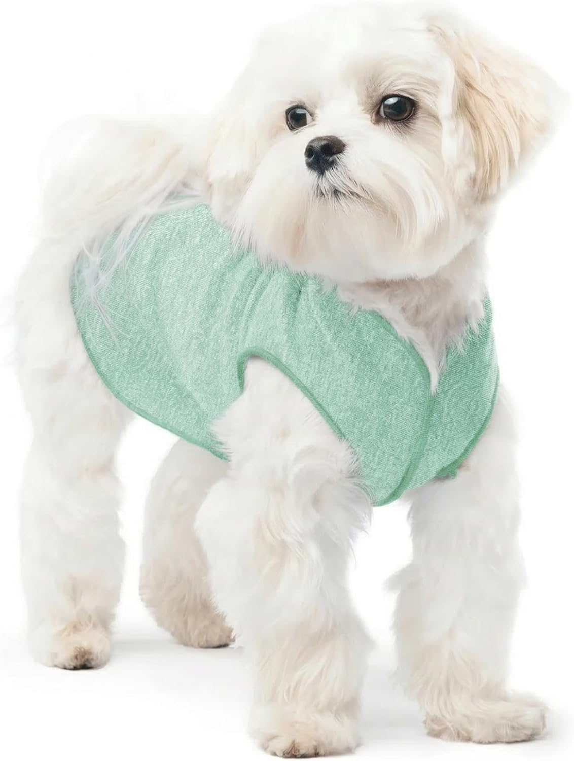 Gold Paw Sun Shield Dog Tee – T-Shirt for Canines – UV Protection, Pet Anxiety Relief, Wound Care – Protects Against Foxtails, Aids Alopecia - Machine Washable, All Season – Size 4 – Grey