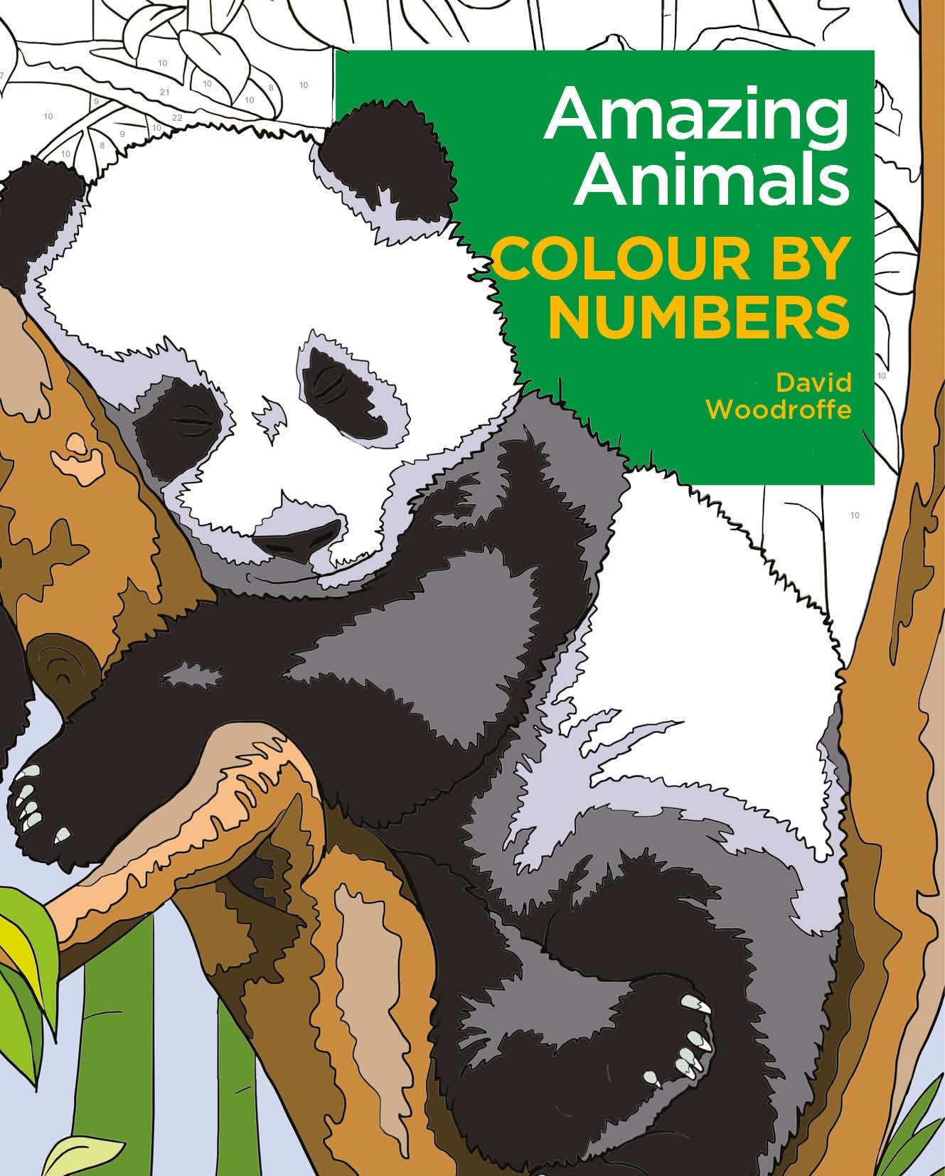 Amazing Animals Colour by Numbers (Arcturus Colour by Numbers Collection)