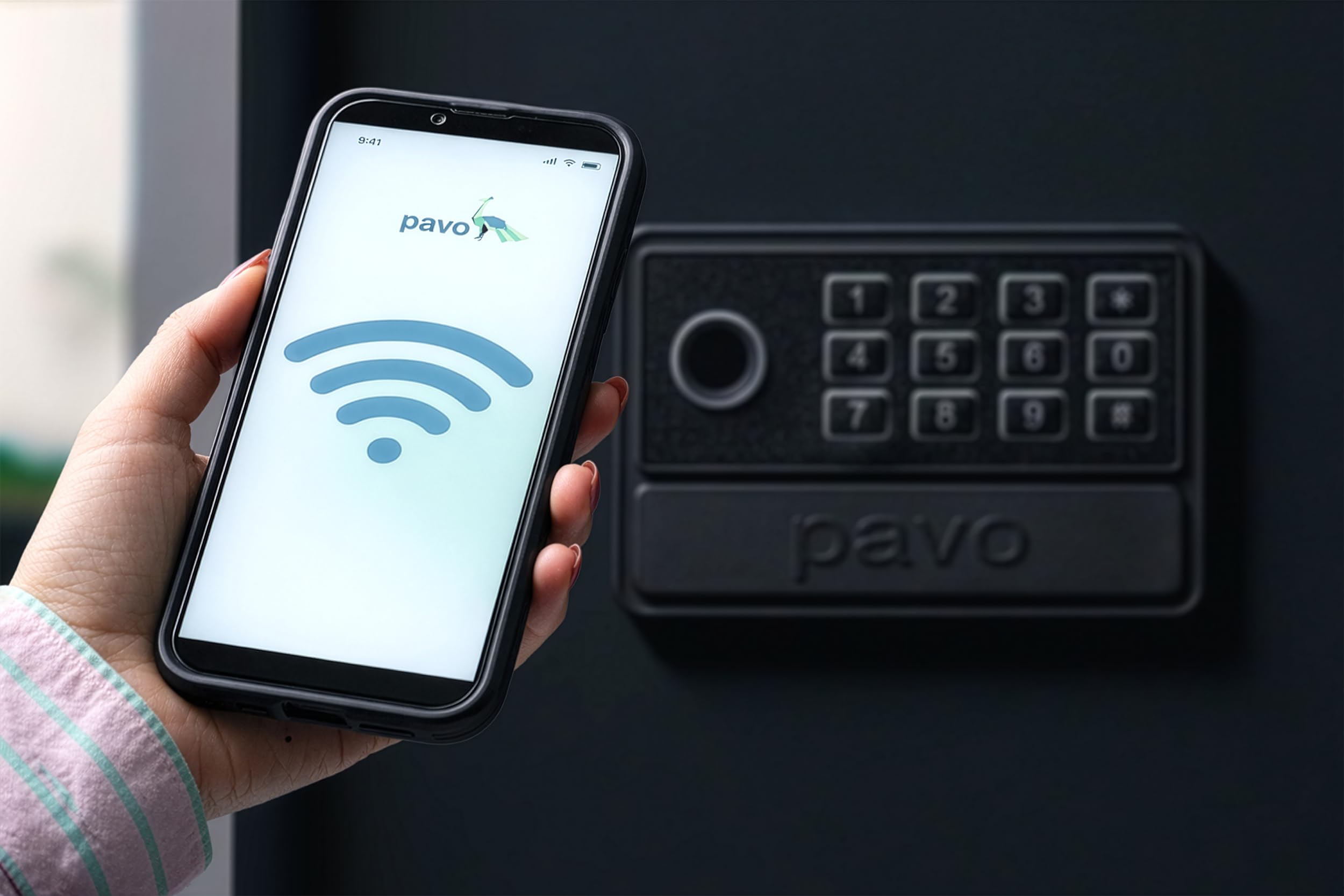 Pavo - Armoire à cles Haute sécurité pour 50 clés, Smart Fonction Wi-FI/Coffre-Fort à clés/Dimension: 550 x 380 x 100 mm/Lecteur d'empreintes digitales/Connecteurs Type-C / 50 Porte-clés Inclus