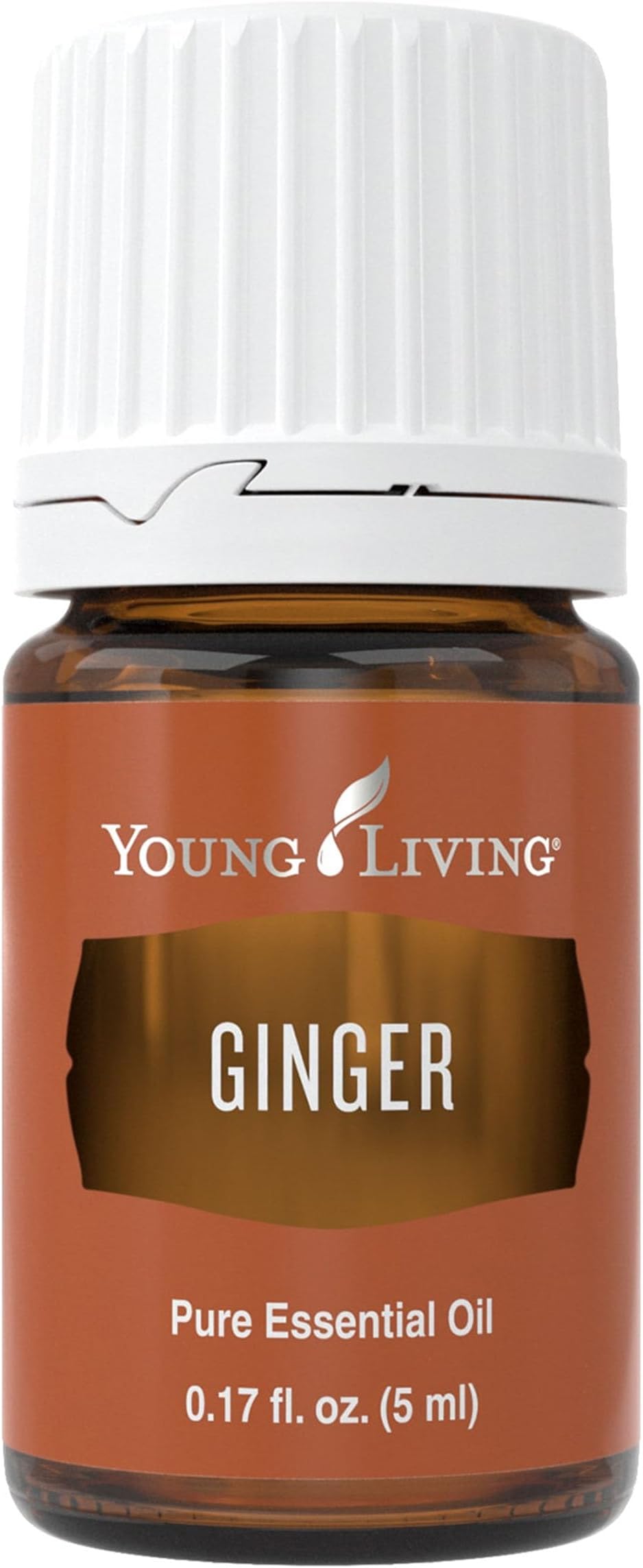 Ginger Essential Oil 5ml by Young Living Essential Oils