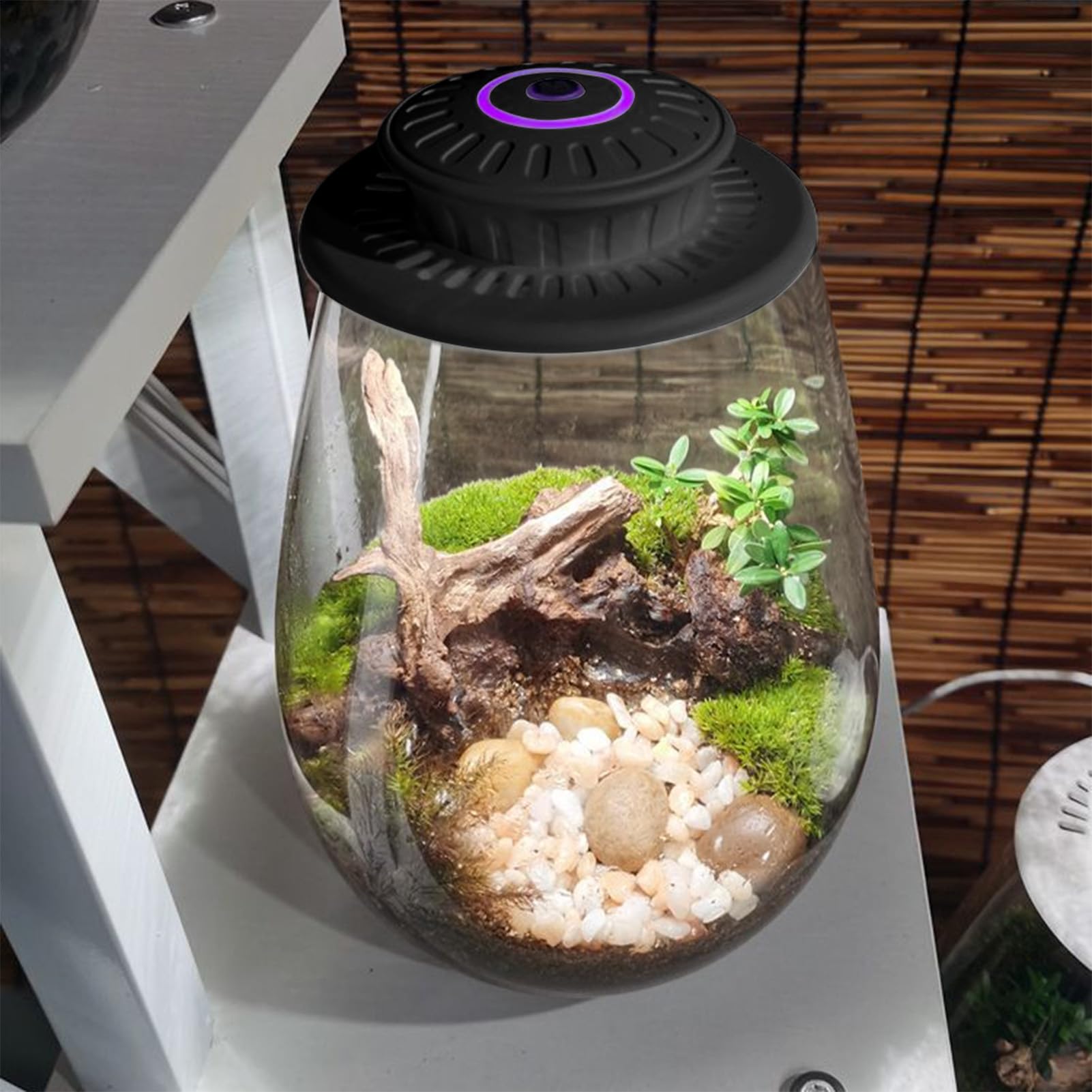 Genérico Pequeñas Luces de Crecimiento para Plantas de Interior - Lámpara LED Giratoria 3W con Base Recargable | Iluminación para Terrario y Botella de Musgo con Paisajes en Miniatura