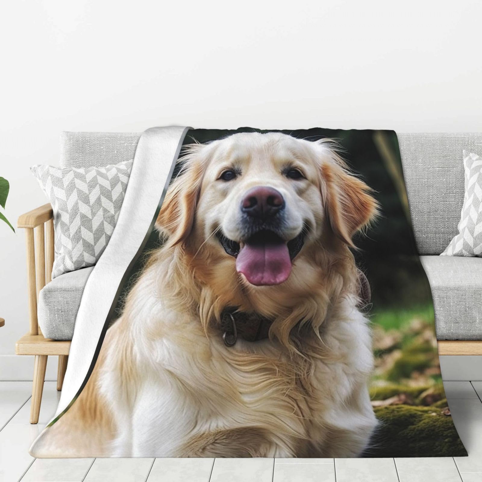 Funny Golden Retriever Throw Blanket Plush Flannel Fleece Blanket, Soft Lightweight Cozy Blankets 80"X60" for Bed Couch Sofa Travel