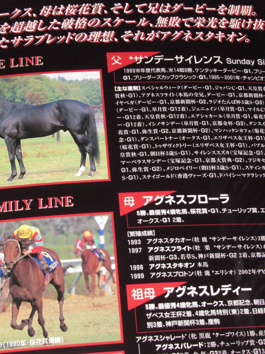 つ*び様 アグネスタキオン　現地的中馬券　弥生賞&皐月賞 セット 2025年最新】馬券 アグネスタキオンの人気アイテム - メルカリ