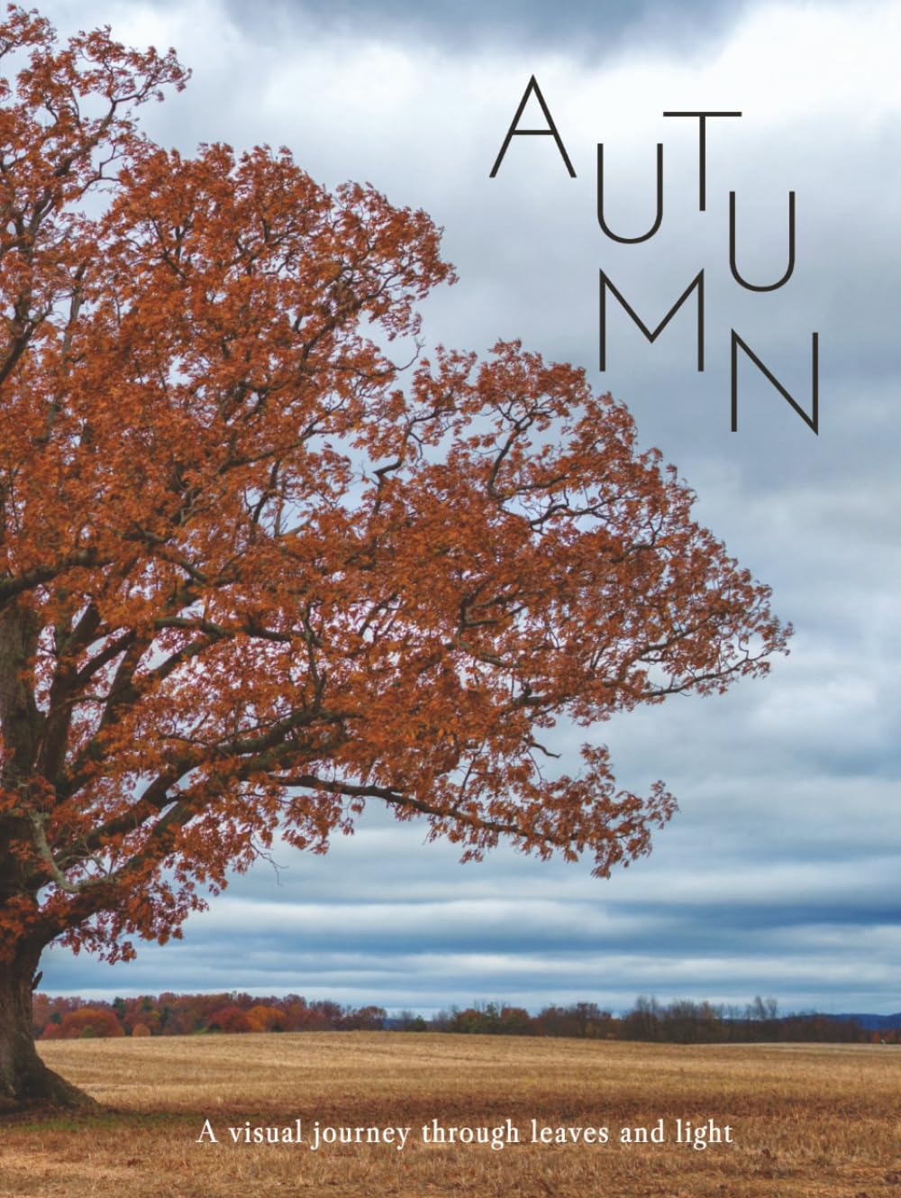 AUTUMN: A visual journey through leaves and light (THE COFFEE TABLE BOOKS)