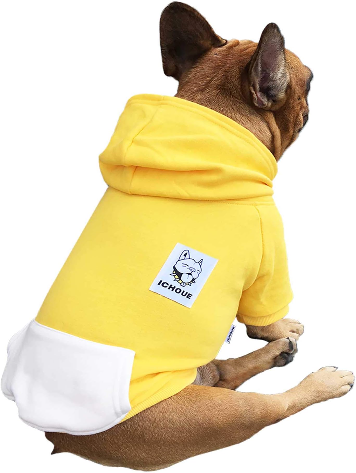 frenchie dog clothes