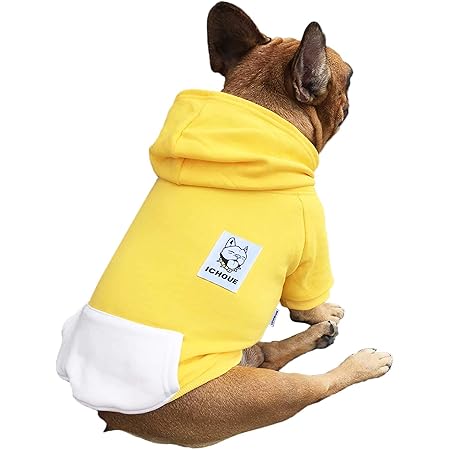amazon prime dog clothes