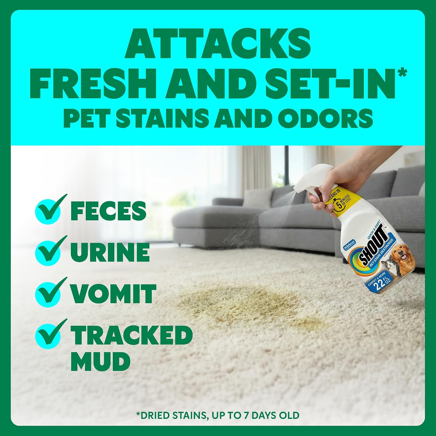 Shout Pet Stain Remover Spray, Color-Safe Multisurface & Carpet Cleaner Solution for photo 3