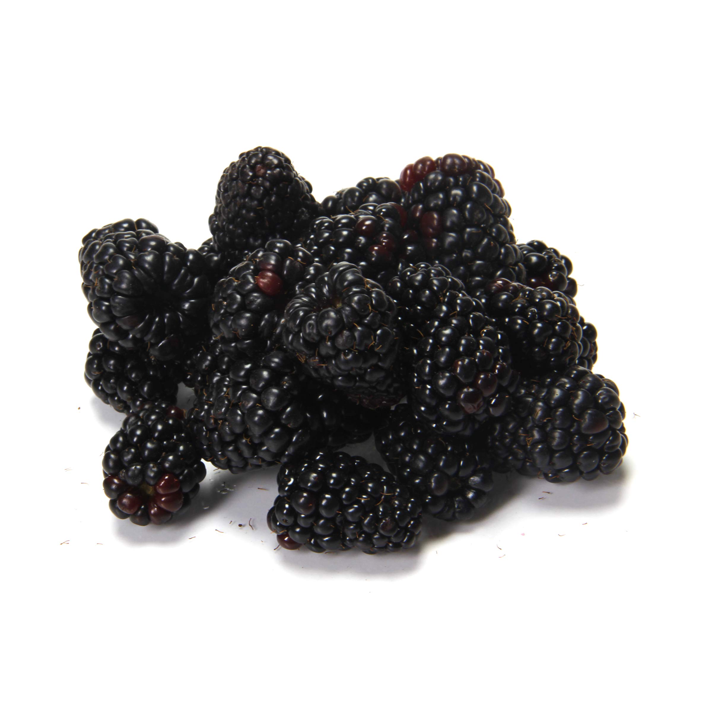 Blackberries 6 oz — view 3