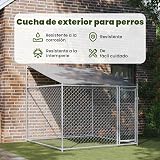 Ver la foto 4