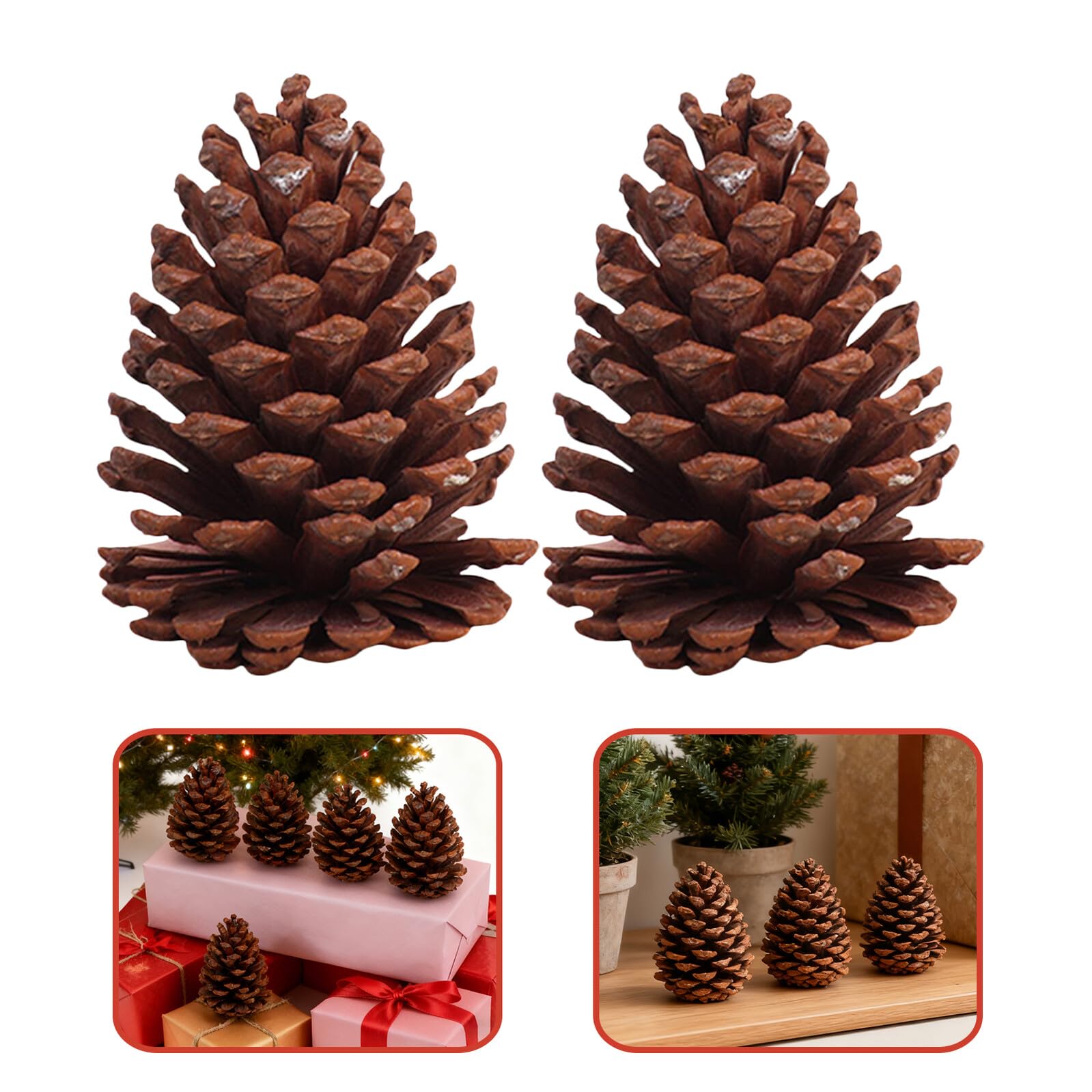 Weihnachtsbaumschmuck Kiefernzapfen 6 Stück Tannenzapfen Naturzapfen zum Basteln und Fotorequisite für Herbstdeko und Selbstgemacht