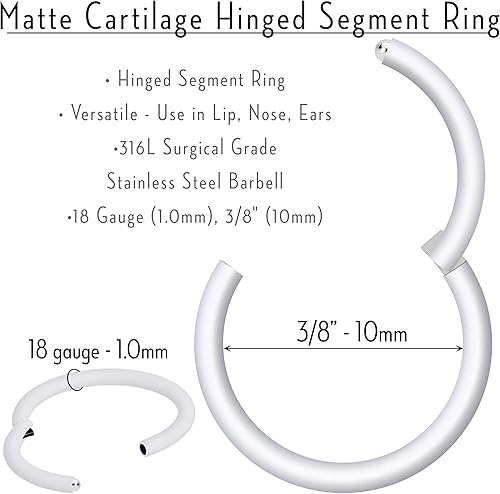 Miniatura 5 de Body Candy Segment Hoop Rings 18 Gauge 316l Surgical Steel Lip Ring Cartilage