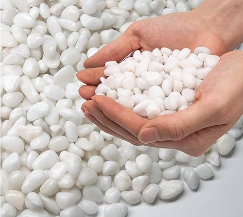 Rocas blancas pulidas, guijarros blancos decorativos para plantas, suculentas, paisajismo, jardín, florero, grava blanca pulida, piedras blancas de