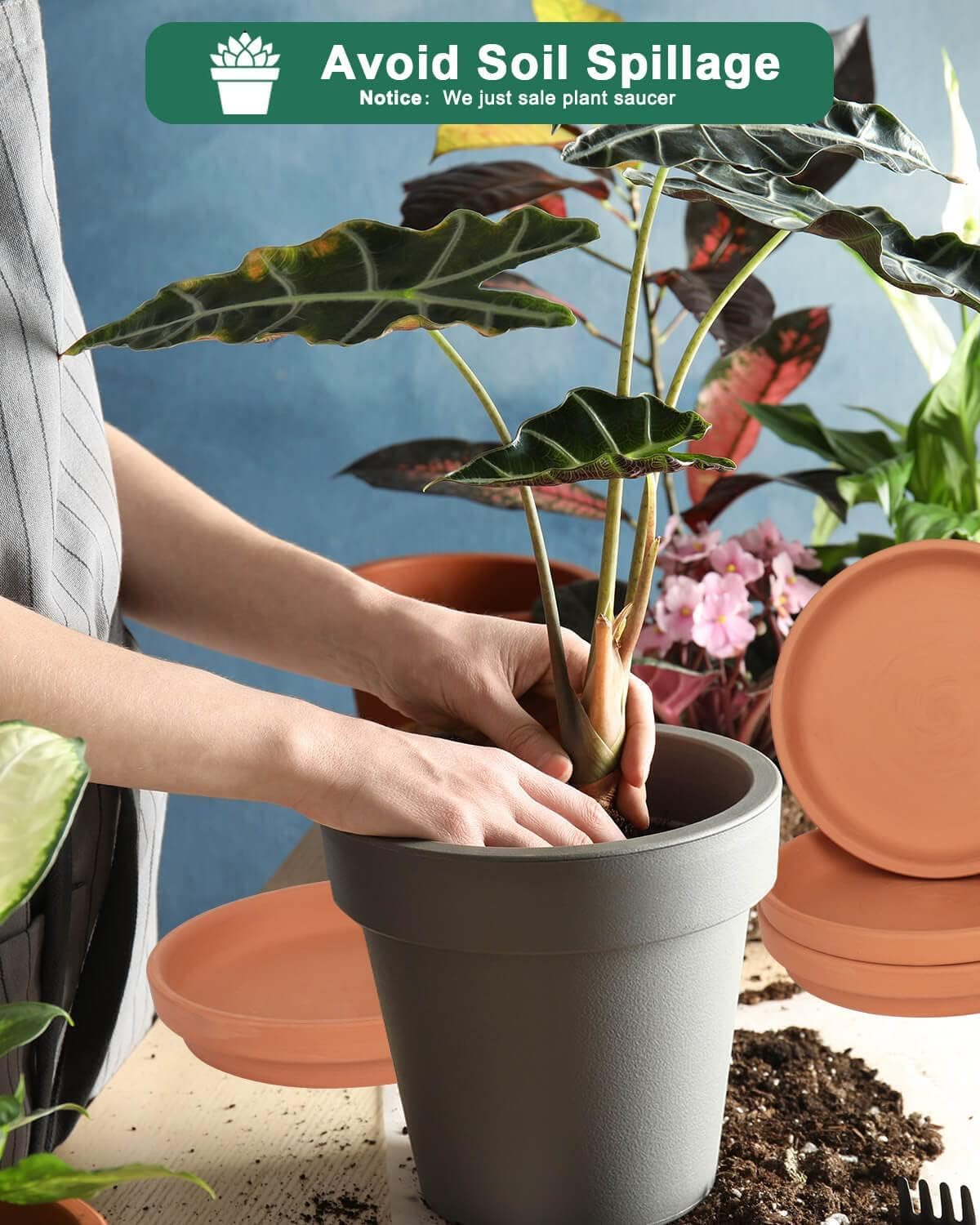 vensovo Plant Pot Saucer Set - Includes 2 Pack 9-Inch Ceramic Plant Saucer and 4 Pack 8-Inch Terracotta Plant Saucer,Perfect for Indoor or Outdoor Use