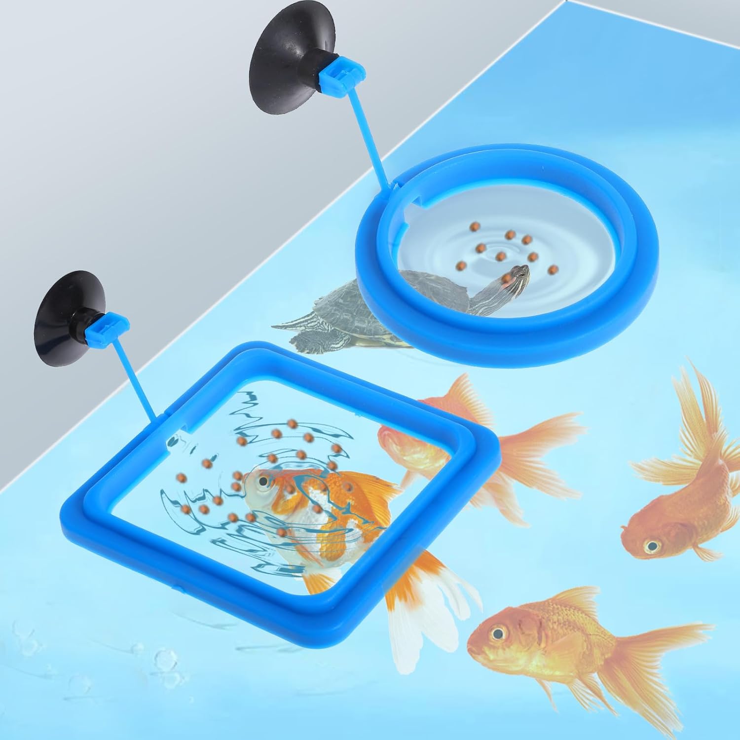 2 Stücke Futterring Aquarium, Automatischer Futterspender Fischfutterring mit Saugnäpfen, Schwimmende Pflanzenringe, Schwimmender Futterpflanzenring, Aquariumzubehör für Guppy, Bettas, Goldfisch, Schildkröte (Blau)