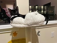 Review Image by Jasmine A. Jasmine A.